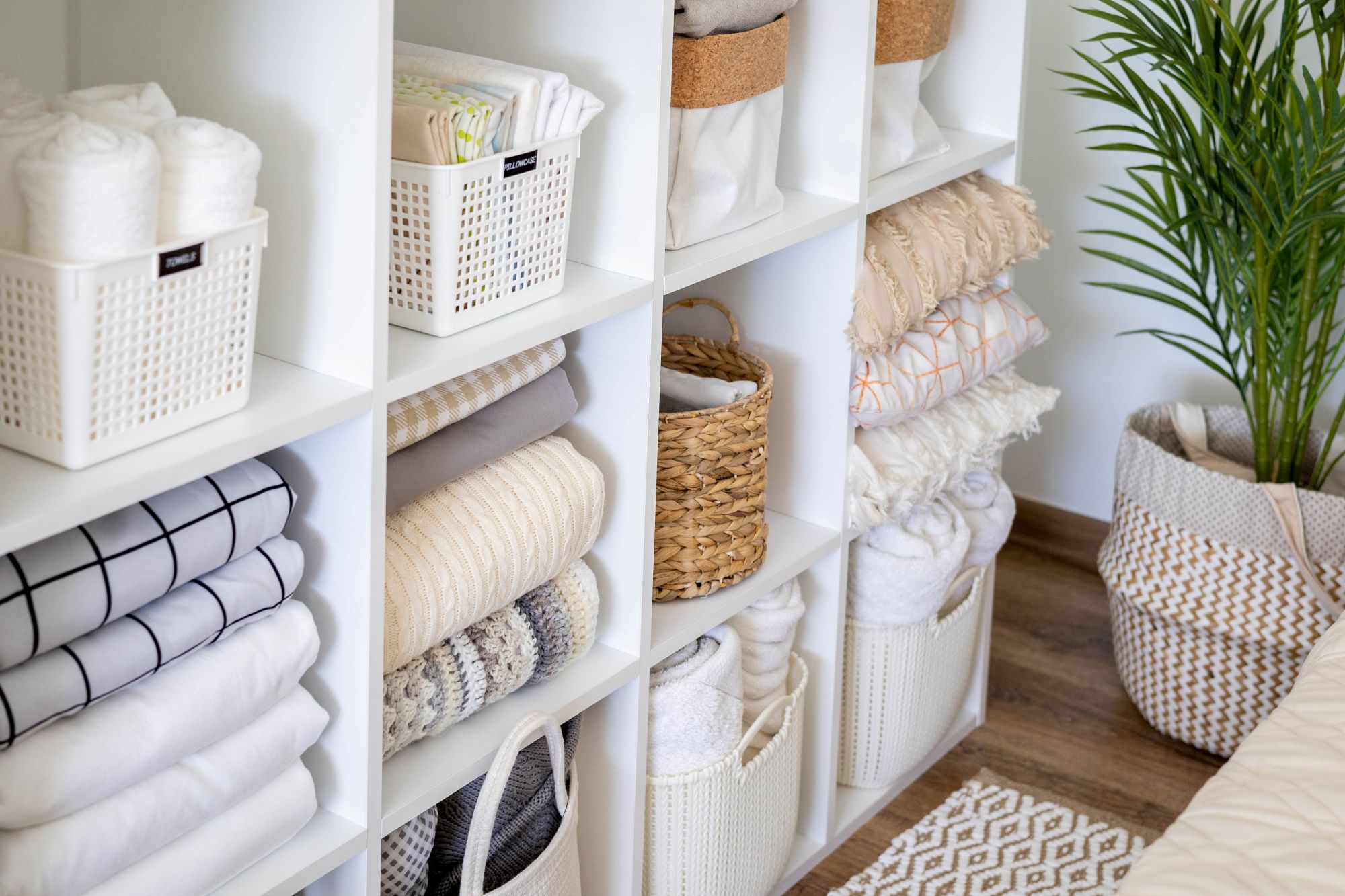 professional-cleaning-organization-company